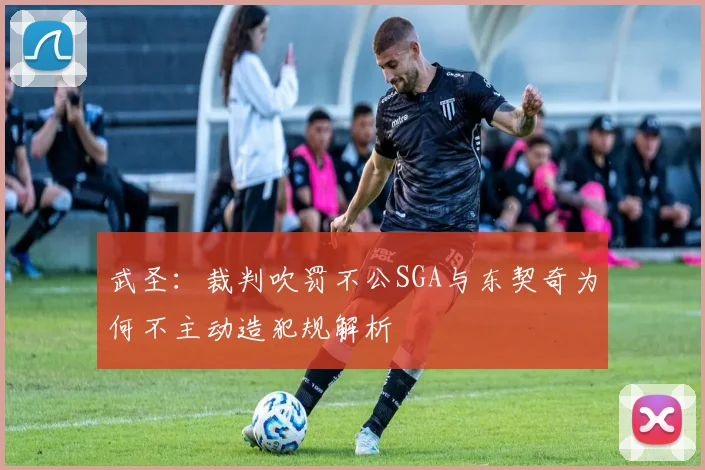 武圣：裁判吹罚不公SGA与东契奇为何不主动造犯规解析